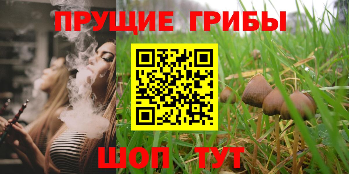 Назарово  Псилоцибиновые грибы ЛСД  Галлюциногенные грибы Psilocybine cubensis  Вход с VPN 